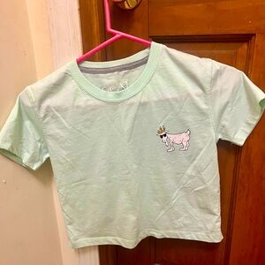 GOAT USA - OG youth crop top in mint - large